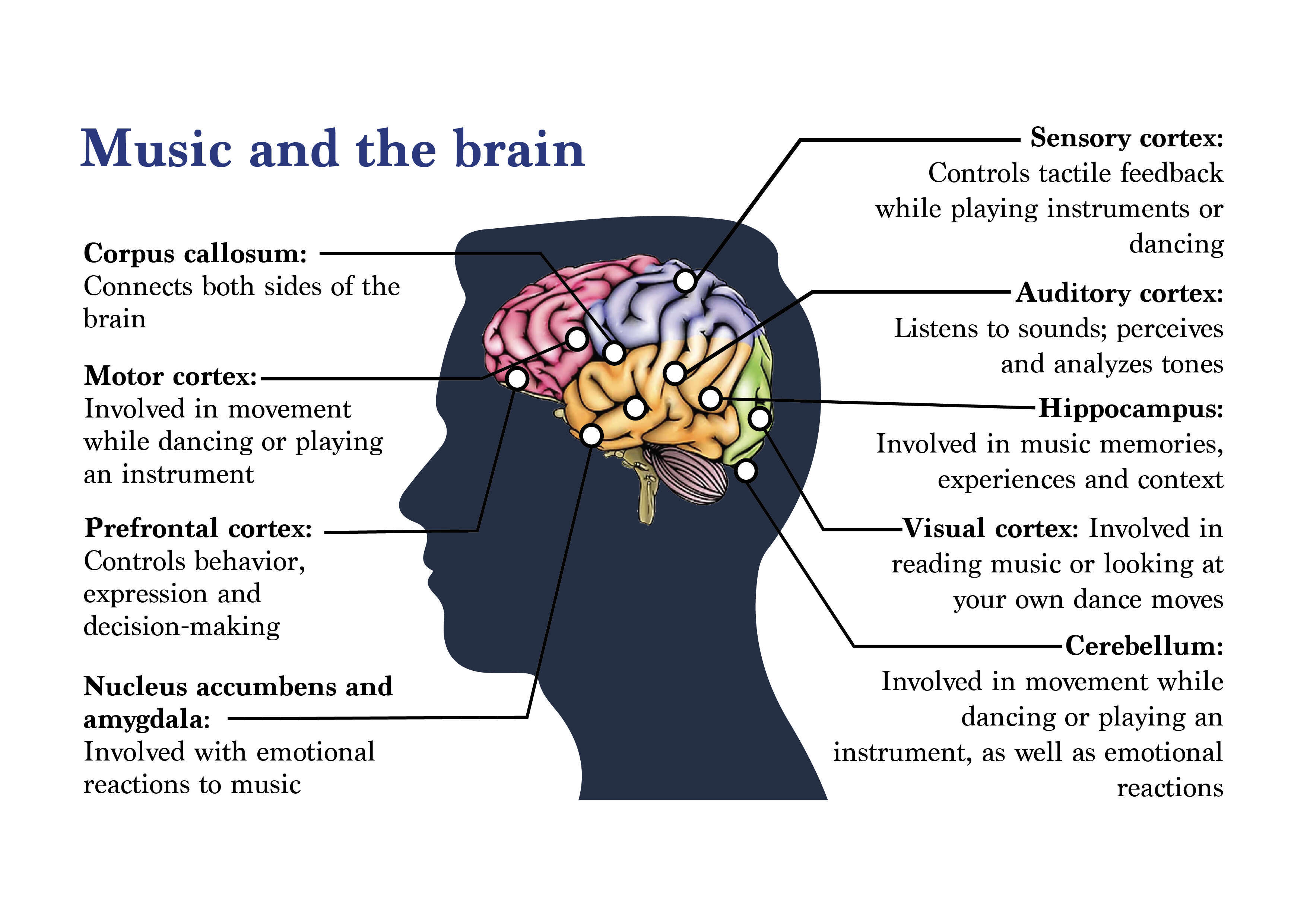 Music and Brain